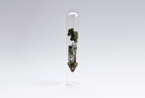 Dioramas em tubos de ensaio feitos por Rosa de Jong